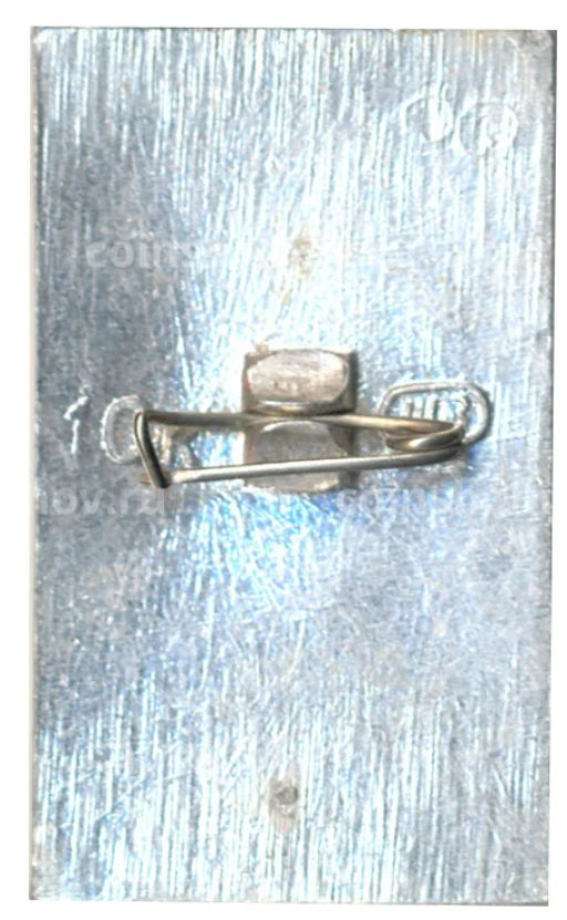 Значок И.Тургенев