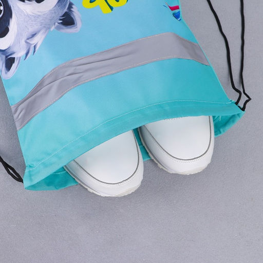 Сумка для обуви со светоотражающим элементом Учусь на 5!, размер 43х34 см - Artfox study фото 5