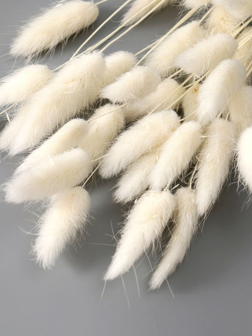 Цена за 2 шт. Декор сухоцвет Лагурус, 55 см, набор 30 шт., белый - Simaland фото 2