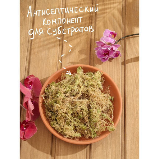 Мох Рецепты Дедушки Никиты 1,5 л  фото 3