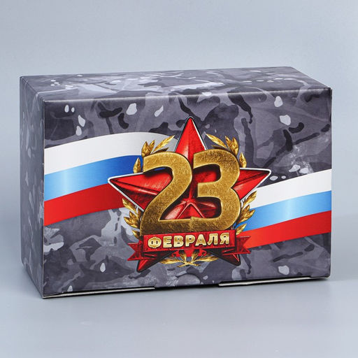 Цена за 2 шт. Коробка подарочная сборная, упаковка, 23 февраля, 22?15?10 см