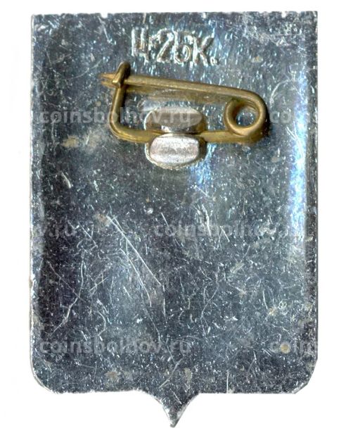 Значок Боровичи