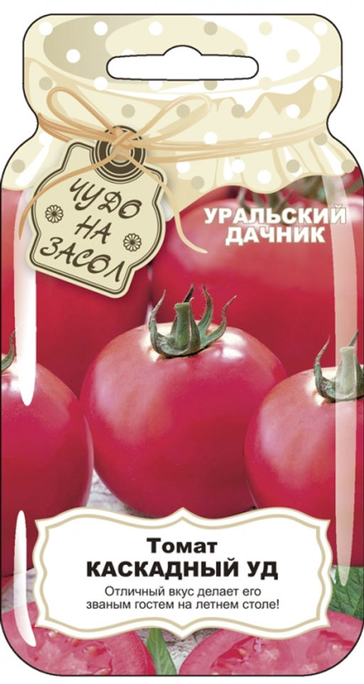Томат КАСКАДНЫЙ УД  Кусты сплошь усыпанные плодами округлой формы, плотные, мясистые, гладкие, цвета малинового желе, увесистые, массой до 130 г! Вкуснотища неописуемая! - Уральский дачник фото 3