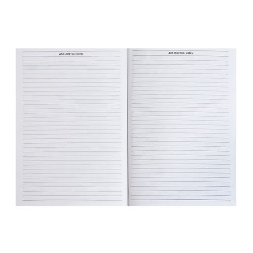 Ежедневник недатированный А5, 128 листов "ГЕРБ РФ", твёрдая обложка, глянцевая ламинация, сине-красный