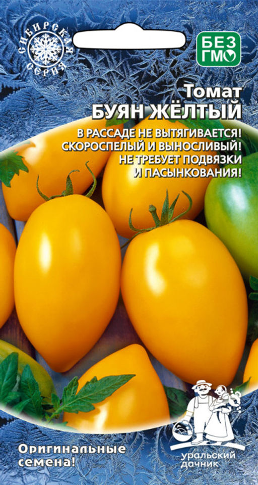 Томат БУЯН ЖЁЛТЫЙ В рассаде не вытягивается! Скороспелый! Выносливый! Не требует подвязки и пасынкования!