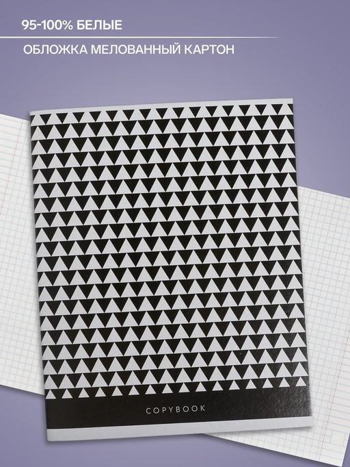 Цена за 5 шт. Тетрадь 48 листов в клетку, Calligrata «ЧБ. Геометрия», МИКС