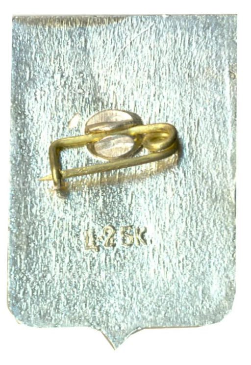 Значок Боровичи