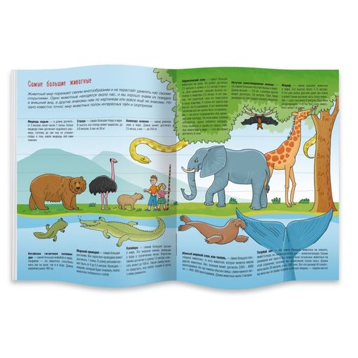 Книжка-картинка Познавайка арт. 44058/ 10 КТО САМЫЙ - Феникс+ фото 2