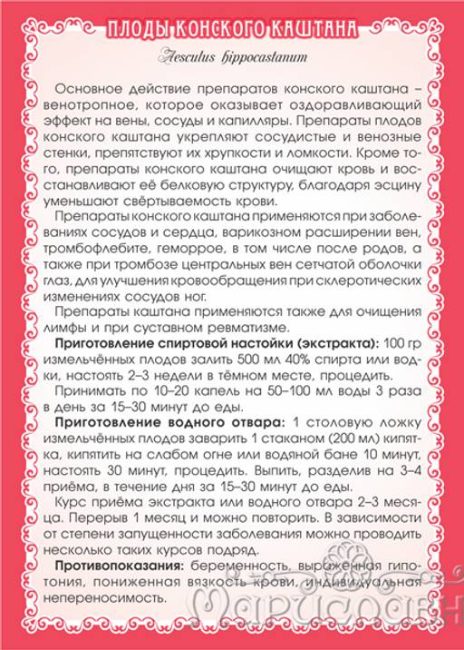 Каштан конский (плоды цельные) - Мариславна фото 3