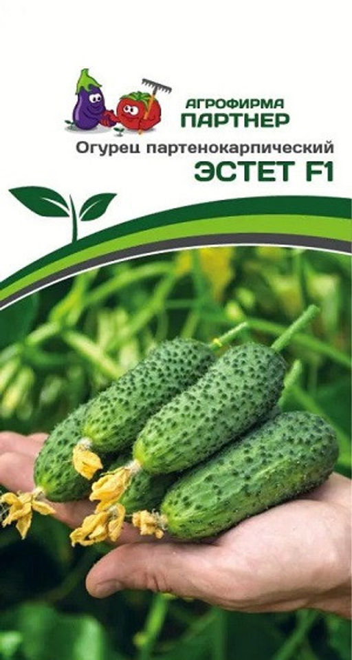 3107P Огурец ЭСТЕТ F1 5шт
