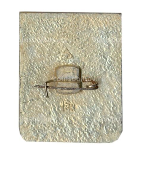 Значок Гусь-Хрустальный