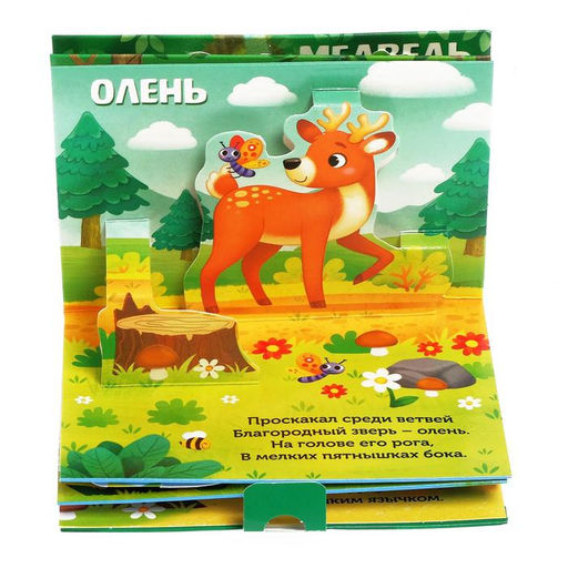 Книжка - панорамка 3D «Кто прячется в лесу?», 12 стр.