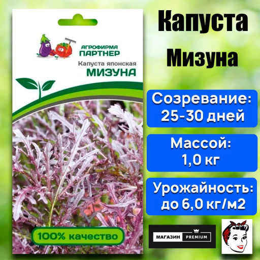Капуста японская Мизуна - Партнер фото 4