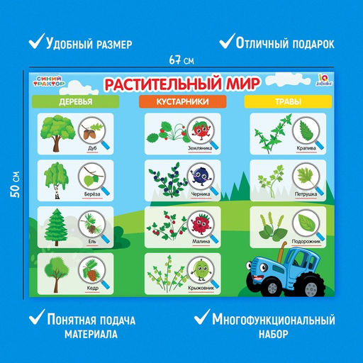 Обучающие плакаты Синий трактор  фото 3