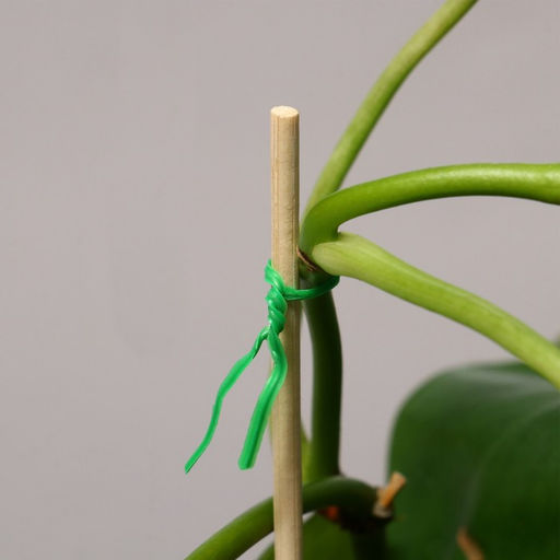 Проволока подвязочная, 20 м, зелёная, Greengo фото 9