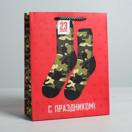 Цена за 2 шт. Пакет подарочный ламинированный, упаковка, «С 23 февраля», MS 18×23×10 см
