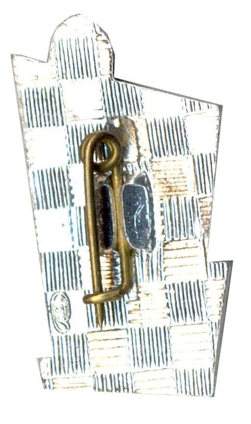 Значок Петродворец