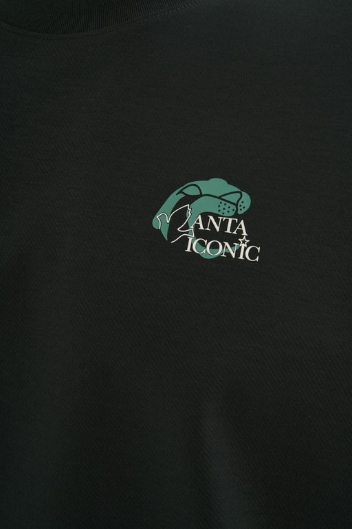 Футболка Темно-зеленый ANTA ICONIC SS Tee  фото 8