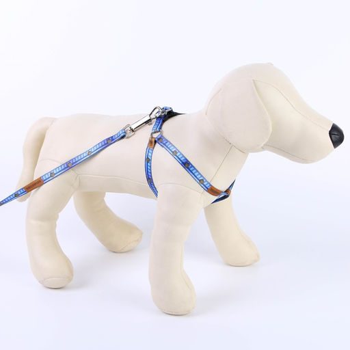 Комплект Любимчик, шлейка 24-36 см, поводок 120х1 см - Пушистое счастье фото 4