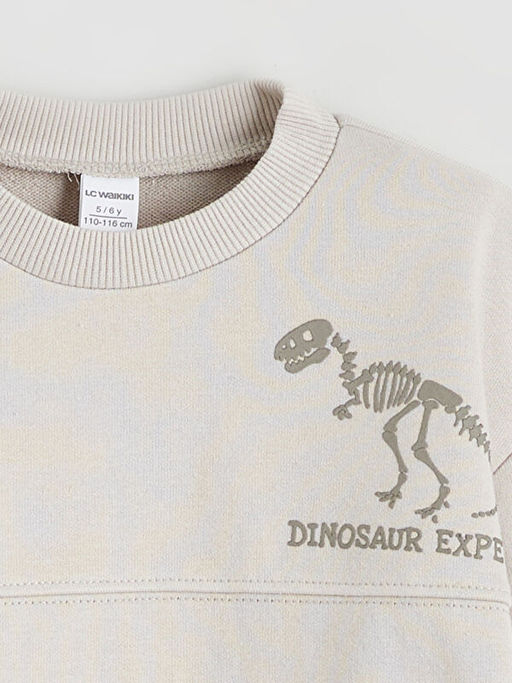 Dinozor Bask?l? Erkek ?ocuk Sweatshirt