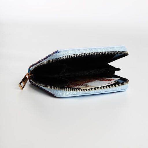 Кошелёк на молнии, голубой, разноцветный