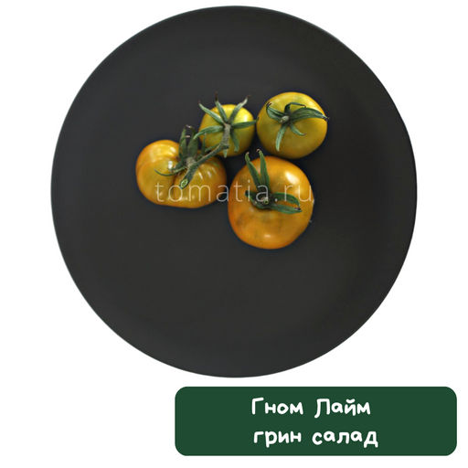 Гном Лайм грин салад - Tomatia фото 2