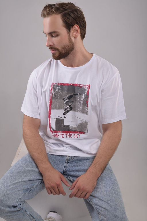 Футболка мужская Tivoli арт.5173807