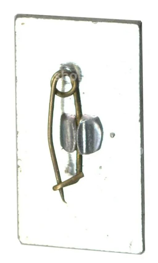 Значок Пансионат Шепси