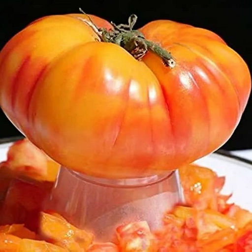 7106TТомат Восторг Арканзаса 10шт