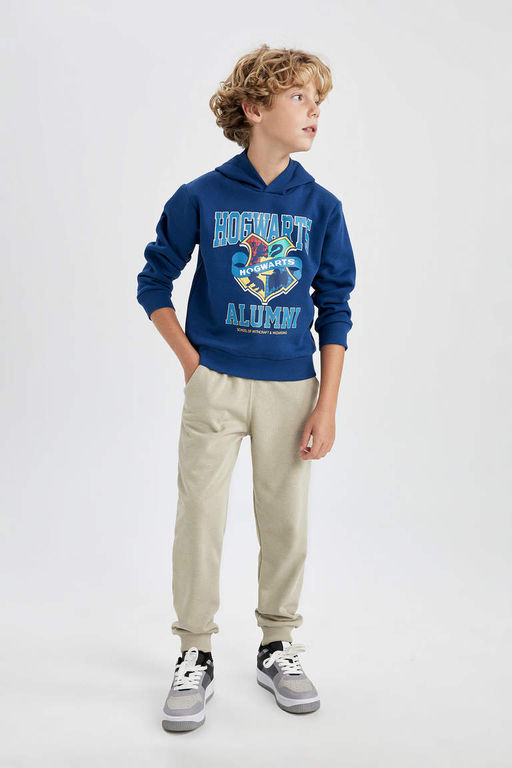 Толстая толстовка с капюшоном в стиле Гарри Поттера для мальчика - Defacto фото 2
