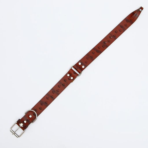 Ошейник с основой из термопластичной резины с тиснением Лапки, 58 х 2,7 см - Пижон фото 3