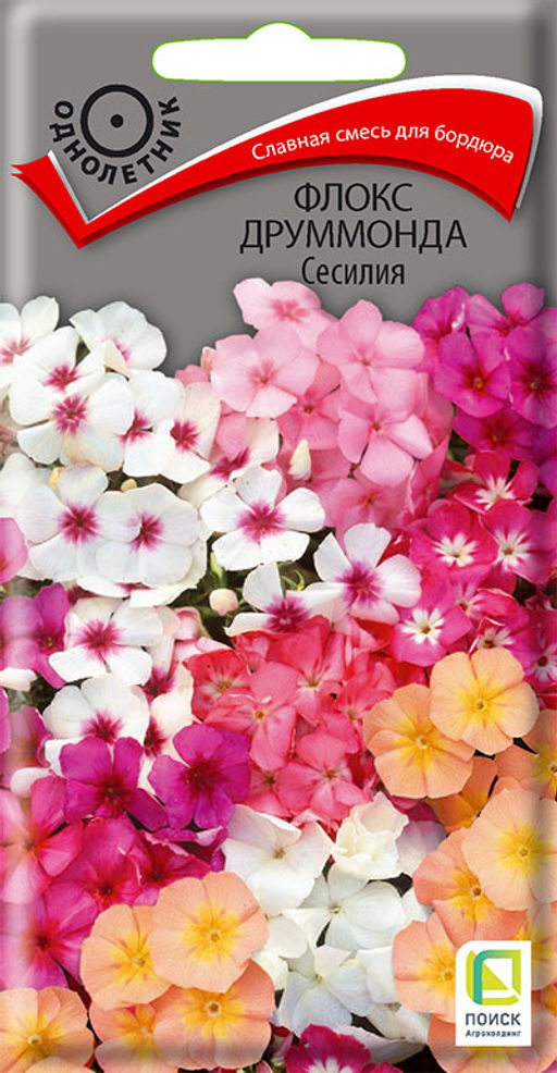 Флокс друммонда Сесилия (ЦВ) (1) 0,3гр. - Поиск фото 2