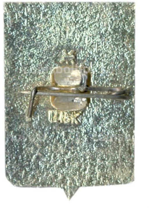 Значок Лодейное поле