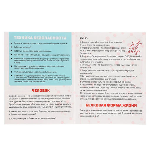 Набор для опытов «Наука твоего тела», 10 опытов