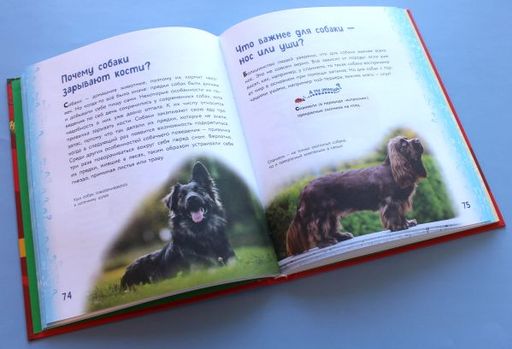 Миллион вопросов о животных, обо мне и мире вокруг и самых разных любопытных вещах