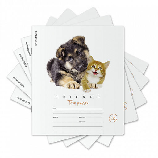 Цена за 280 шт. Тетрадь школьная ученическая ErichKrause Дружба, 12 листов, линейка (в плёнке по 10 шт.)  фото 12