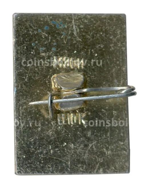 Значок Кострома