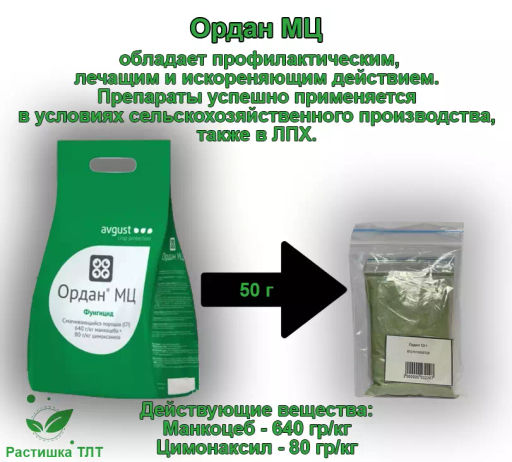 Ордан МЦ
