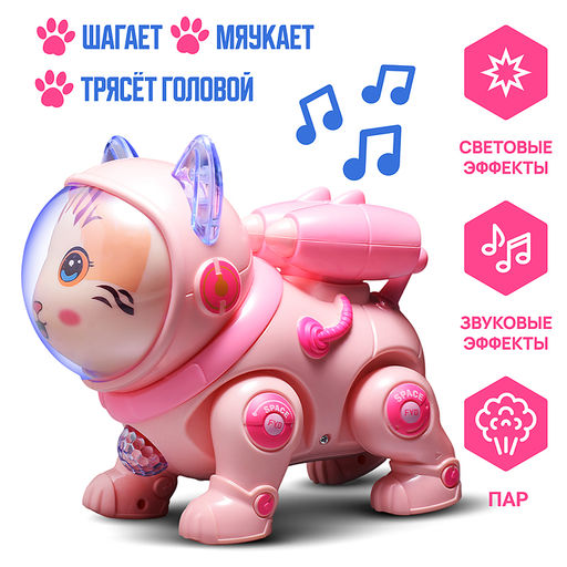 Кот "Электрокосмический кот" в коробке
