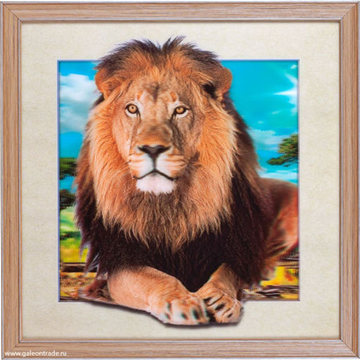Картина 5D 40х40 211 / ZR8210H-222411 / - Галеонтрейд фото 2