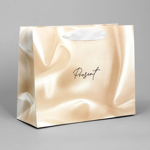 Цена за 2 шт. Пакет подарочный, упаковка, «Present», 22×17.5×8 см