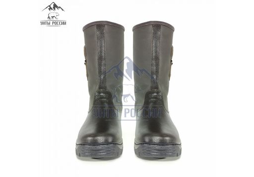 Сапоги мужские Сибирь, коричневые, литая подошва