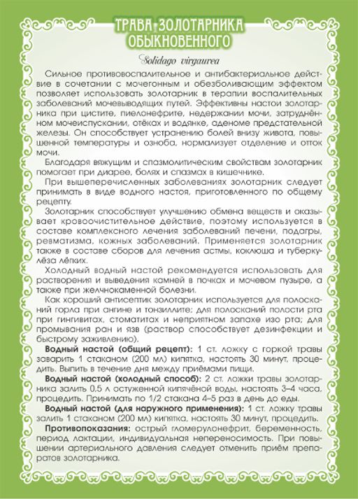 2 шт. Золотая розга (золотарник), (трава) - Мариславна фото 3