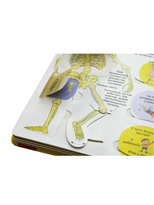 Секреты человека - Робинс фото 6