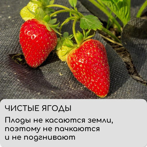 Материал мульчирующий, 10×3.2 м, плотность 60 г/м², спанбонд с УФ-стабилизатором, чёрный, Greengo, Эконом 30%