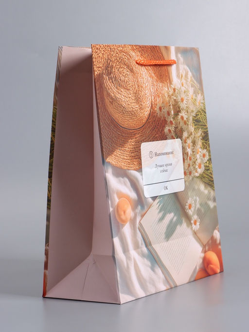 Пакет подарочный ламинированный «Лучшее время сейчас», 26×12×32 см