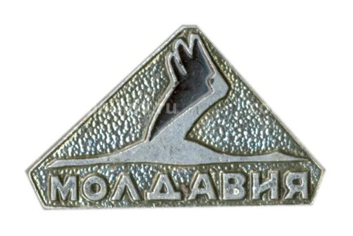 Значок Молдавия