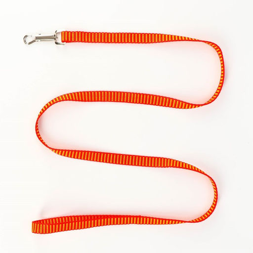 Комплект амуниции рельефный, поводок 120 х 1,5 см, ОГ 36-49 см, красно-жёлтый - Пижон фото 6