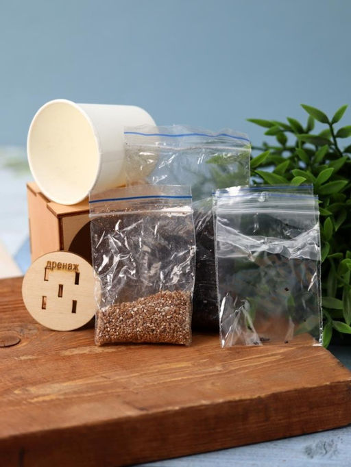 Набор для выращивания "Экокуб Magicme" - Перчик