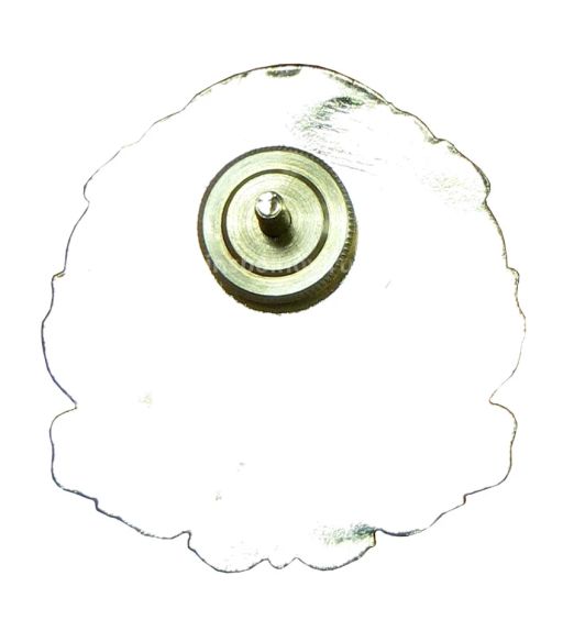 Знак Почётный гражданин города Болхов